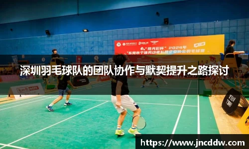 深圳羽毛球队的团队协作与默契提升之路探讨