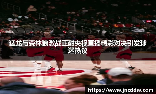 猛龙与森林狼激战正酣央视直播精彩对决引发球迷热议